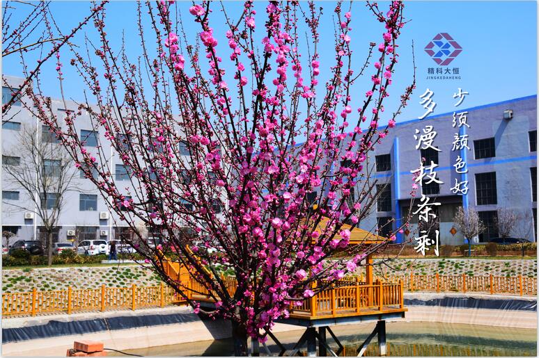 1649983112708664.jpg 44.jpg